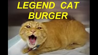 LEGEND ANGRY CAT quotBURGERquot SCREAMS LOUD [upl. by Meit375]