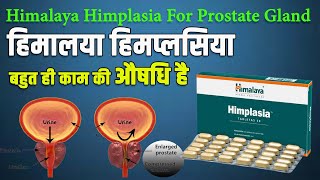 Himalaya Himplasia Tablet ke Fayde  Himplasia tablet Benefits in Hindi  हिम्प्लासिया के फ़ायदे [upl. by Odicalp]