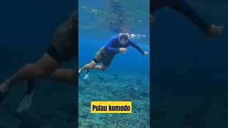 Keindahan laut Pulau komodo imaginedragons shorts quotes music [upl. by Eduardo]