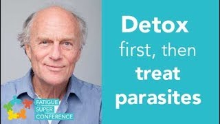 Detox first then treat parasites  Dr Klinghardt [upl. by Vowel545]