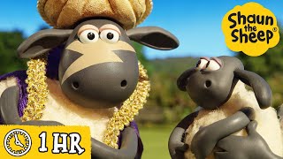 Shaun the Sheep 🐑 Timmys GIANT Pizza Wish amp MORE 🍕 Full Episodes Compilation [upl. by Orling]