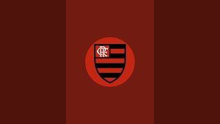 FL ∆o vivo contra o cruzeiro  finalzinho elétrico com roubo pra cima do flamengo [upl. by Roti]