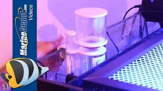 CAD Lights PLS50 Elite Nano Pipeless Protein Skimmer Product Demo [upl. by Ahtivak]