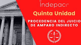 5 Amparo IndirectoProcedencia del Juicio de Amparo Indirecto [upl. by Steck658]