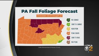 Fall Foliage To Reach Peak [upl. by Andryc]