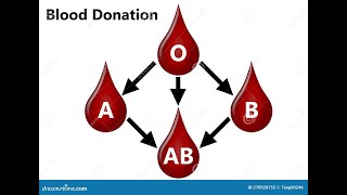 bloodgroup study ytvideo [upl. by Aitekram]