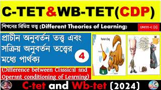 Different Between Classical And Operant Congratulations theoryLearning TheoryCtet And Wbtet [upl. by Nananne]