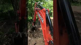 Kubota M62 removing trees and stumps [upl. by Lazaruk923]