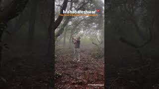 Mahabaleshwar the best hillstation in Maharashtra [upl. by Jacquet]