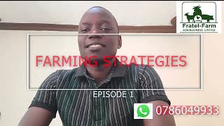 STRATEGIES IN FARMING [upl. by Anivas]