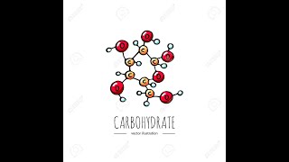 CARBOHYDRATES chemistry شرح بالعربي [upl. by Adyht]