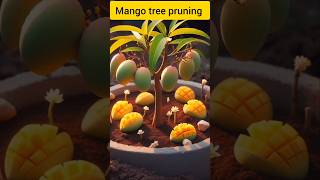 Tip Pruning Mango tree mango plants shorts [upl. by Neukam]