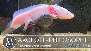 Die Idee vom Axolotl [upl. by Proulx]