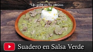 Suadero en Salsa Verde [upl. by Larner676]