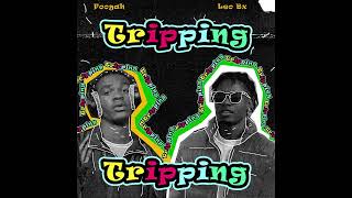 Leo Bx  Tripping Feat FoogahAudio Oficial [upl. by Opiuuk107]