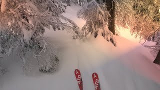 GoPro Forest Powder Freeskiing  Poiana Brasov [upl. by Nager149]