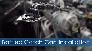 How To Install a Catch Can AN Fittings and Braided Hose on Your Car [upl. by Pudendas]