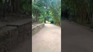 Tourist attractiveness Rajgir venuvanShort video Mahila hockey Asia Cup 2024 Rajgir Nalanda Bihar [upl. by Uchish909]