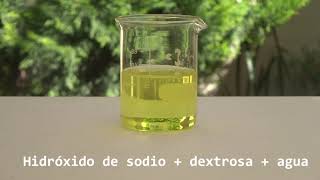 ¿Azul que desaparece  Experimento azul de metileno y glucosa [upl. by Suhploda]