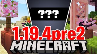 NUOVE TEXTURE e NEWS SUL NOME  Minecraft ITA 1194 prerelease 2 [upl. by Agnizn]