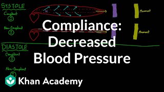 Compliance  decreased blood pressure  Circulatory system physiology  NCLEXRN  Khan Academy [upl. by Tompkins]