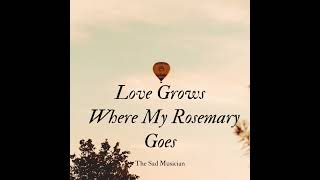 Love Grows Where My Rosemary Goes cover [upl. by Metsky]