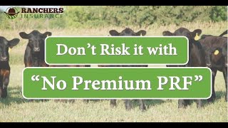 Dont Risk it with quotNo Premium PRFquot [upl. by Phillipe417]