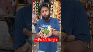 Mirpur 1 Pakhir Hat  Pakhi  Pakhir Hat  Tiya Pakhi  Pakhir Bazar  birds  Parrot birds shorts [upl. by Aenert]