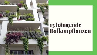 13 hängende Balkonpflanzen  Die schönsten Arten für Balkon und Terrasse [upl. by Eiramlatsyrk247]