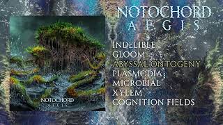 Notochord  Aegis FULL ALBUM STREAM [upl. by Sladen]