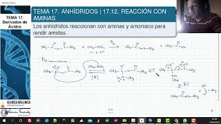 TEMA 17 ANHÍDRIDOS  1712 REACCIÓN CON AMINAS Y AMONIACO [upl. by Aydin190]