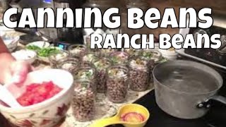 Canning Ranch Beans  Pressure Canning is EASY [upl. by Wilen]