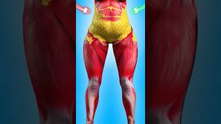 weightloss fatloss bodyfatloss bestworkut [upl. by Bencion]