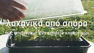 🌱 Πώς φτιάχνουμε σπορείο για καλλιέργεια λαχανικών από σπόρο  Τα Μυστικά του Κήπου [upl. by Eniledgam938]