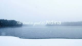 Psalmist Salem Shalom The Lord is good Ft Ndina Official Lyrics [upl. by Lose]