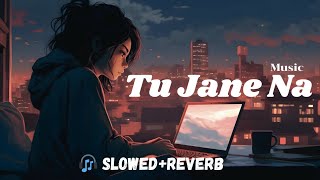 Tu Jaane Na Lyrics SlowedReverb Atif Aslam  Lyrical Audio003 trending youtube lyrics [upl. by Bilek]