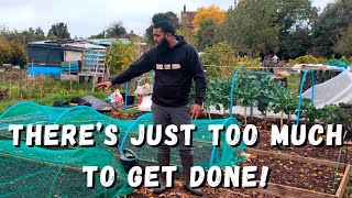 THERES JUST TOO MUCH TO GET DONE  OCTOBER ALLOTMENT TOUR [upl. by Eiramyma258]