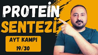 Genetik ŞifreProtein Sentezi  30 Derste AYT Biyoloji Kampı 19Ders  2025  Cici Biyoloji [upl. by Enitsrik]