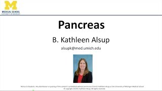 Pancreas Lecture [upl. by Kozloski488]