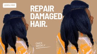 Repair Any Damaged Natural Hair at Home using this ONE Ingredient Tipsforlongerhair [upl. by Florinda301]