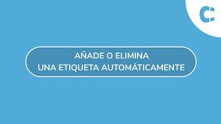 Añade o elimina una etiqueta automáticamente en Clientify [upl. by Woehick]