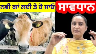 new 🐄 COW nu bako nal mix karn toh pehla aeh video jarur dekho [upl. by Light]