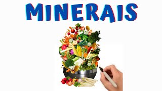 MINERAIS I Micronutrientes [upl. by Cattima853]