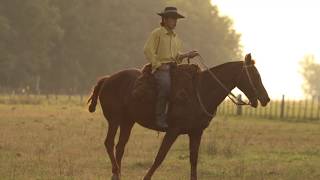 2018 AQHA International Best Remuda Award – La Media Suerte [upl. by Nialb]