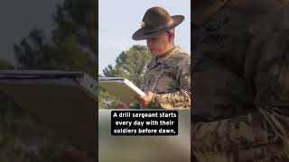 The Life of a Drill Sergeant [upl. by Nylecyoj688]