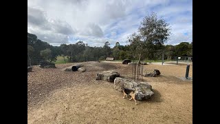 Parkwood Fenced Dog Park Ringwood North [upl. by Anirtak]