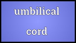 Umbilical cord Meaning [upl. by Algernon]