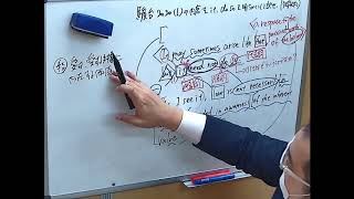 【英語】2020年第1回高3駿台全国模試をぶっつけ本番で解説してみた。英文読解に必要な言い換えに気付く力をつけよう。 [upl. by Dowling]