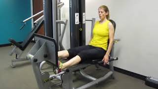 How to Perform A Seated Leg Press The Correct Way Train your quads [upl. by Nahtnaoj816]