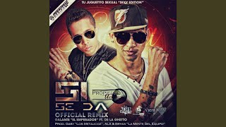 Si Se da Remix feat De la Ghetto [upl. by Carlock]